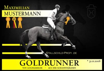 individuelles Boxenschild Goldrunner gestalten lassen