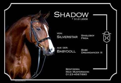 individuelles boxenschild shadow farbig links