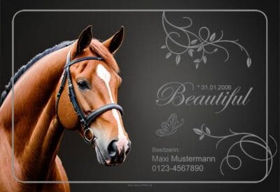 individuelles Boxenschild Beautiful für Pferd und Reiter auch als Geschenkidee